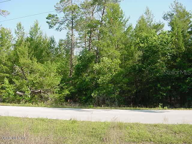 SE 10th St., Williston, FL 32696