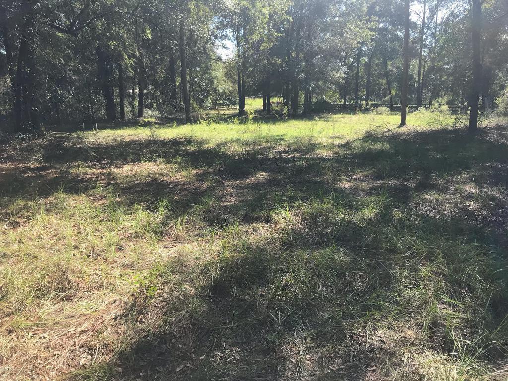 10551 NW 8th Ln., Ocala, FL 34482