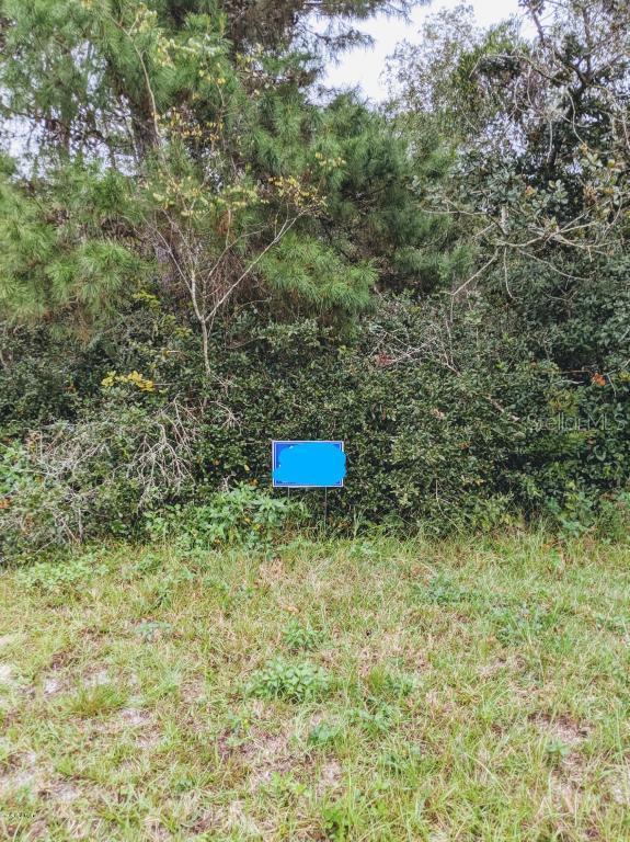 000 Marion Oaks Dr., Ocala, FL 34473
