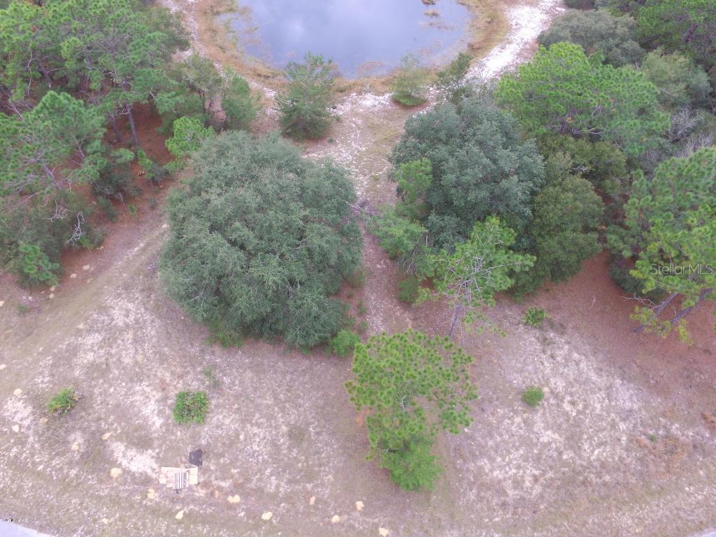 Malauka Cir., Ocala, FL 34472