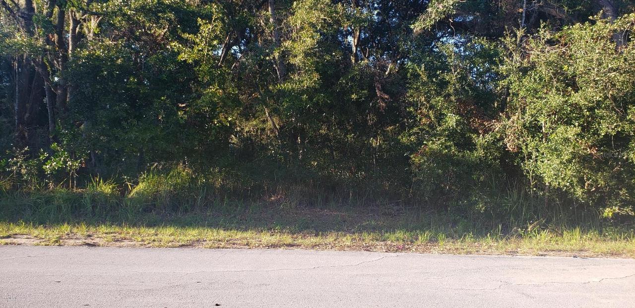 Cedar Tree Pass, Ocala, FL 34472