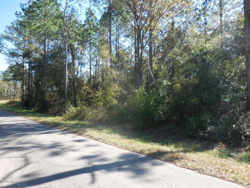 15404 NE 15th St., Williston, FL 32696
