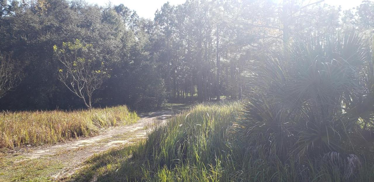 Cedar Rd., Ocala, FL 34472