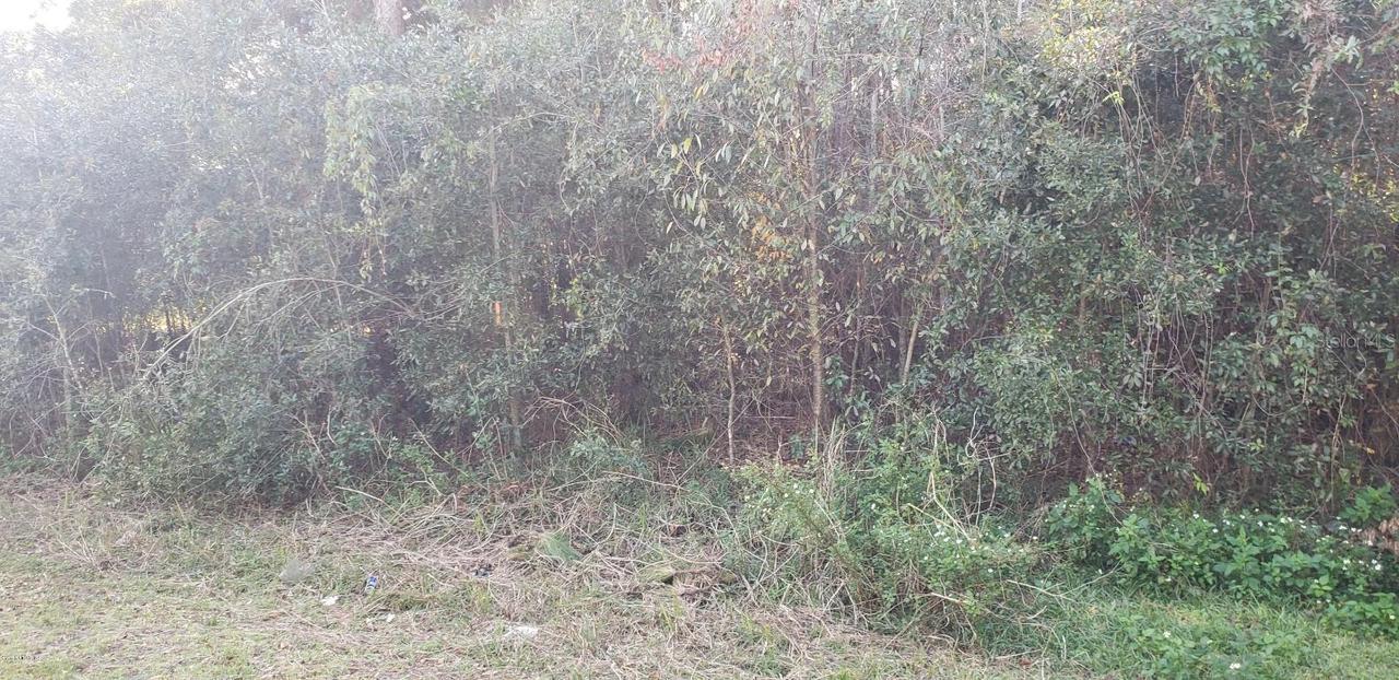Cedar Rd., Ocala, FL 34472