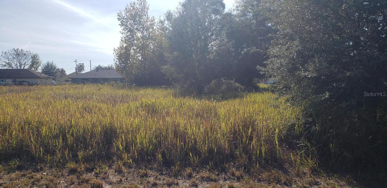 Cedar Rd, Ocala, FL 34472