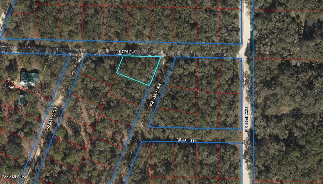 TBD NE 7th Pl., Williston, FL 32696