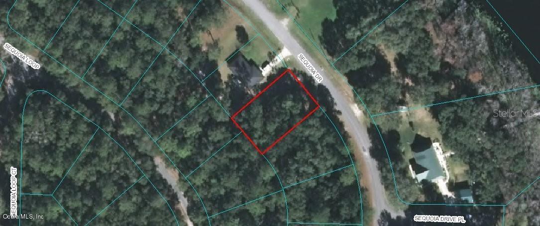 TBD Sequoia Dr., Ocklawaha, FL 32179