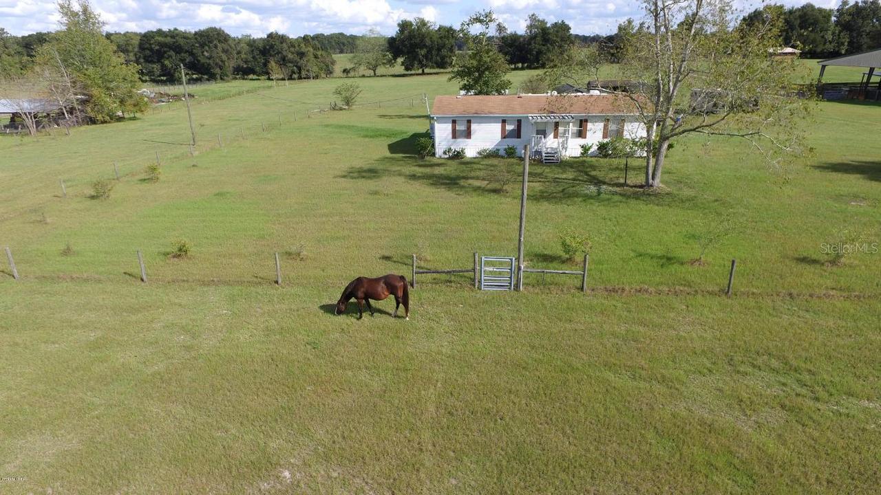 12511 NE 25th Ave., Anthony, FL 32617