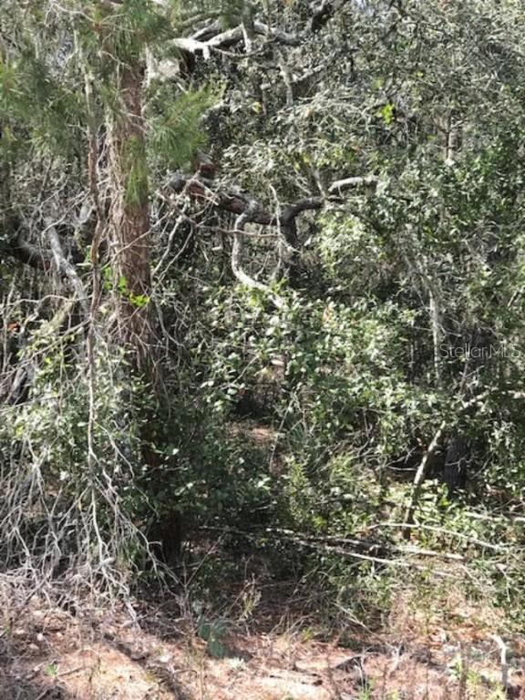 SW 108th Ln., Ocala, FL 34476