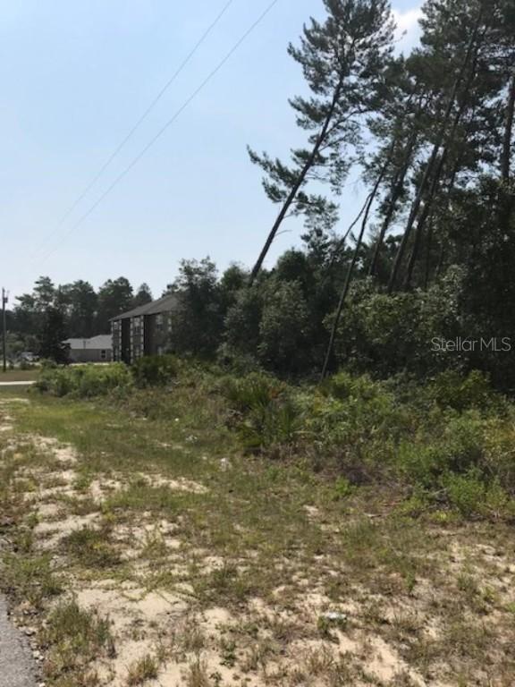 SW 111th Pl., Ocala, FL 34473