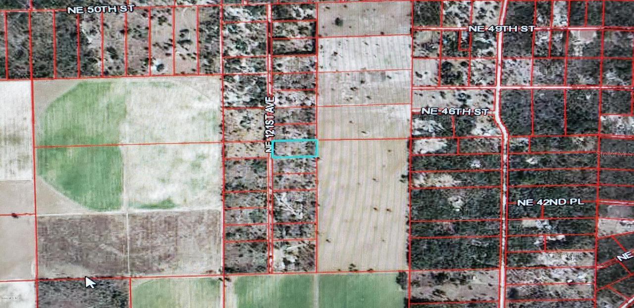 TBD NE 121st Ave., Williston, FL 32696