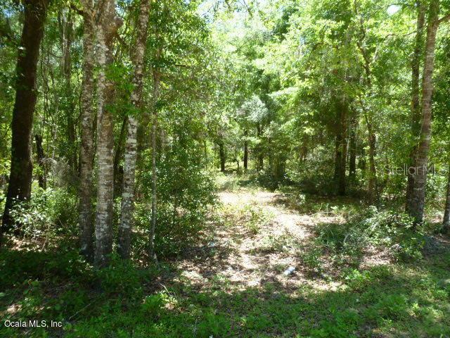 tbd NE 155th Ter., Williston, FL 32696