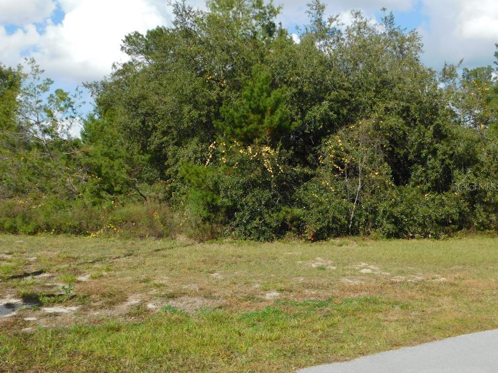 Marion Oaks Ln., Ocala, FL 34473