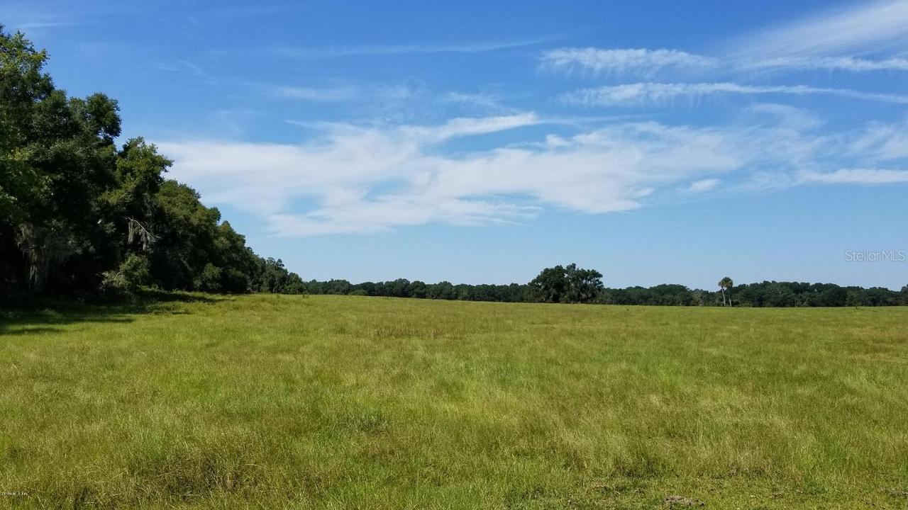 00 NE Jacksonville Rd., Sparr, FL 32192