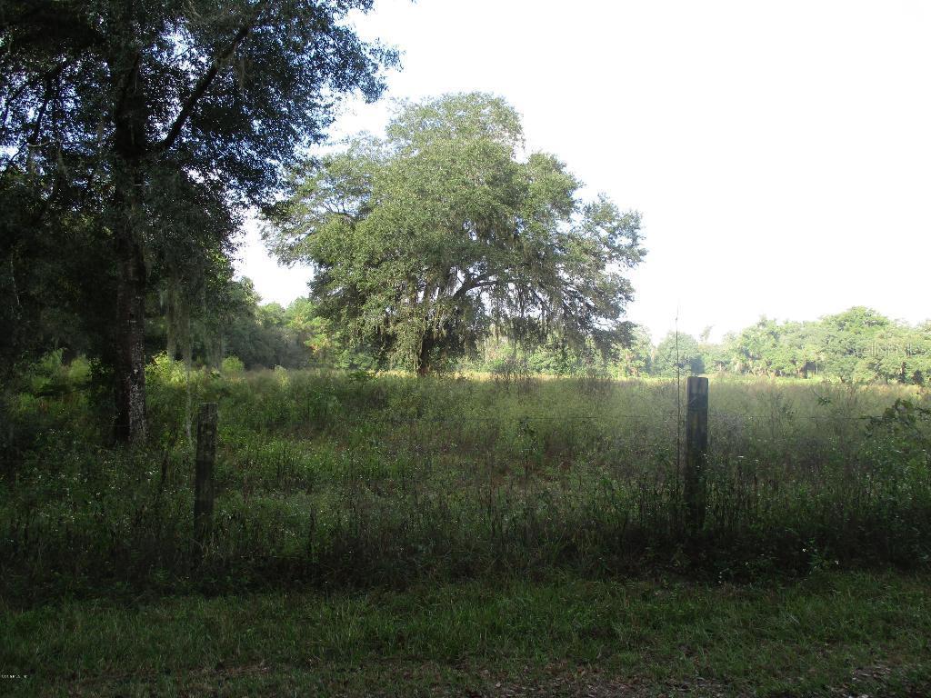 00 NE 35 St., Williston, FL 32696
