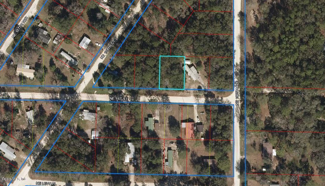 15951 NE 1st Street St., Williston, FL 32696