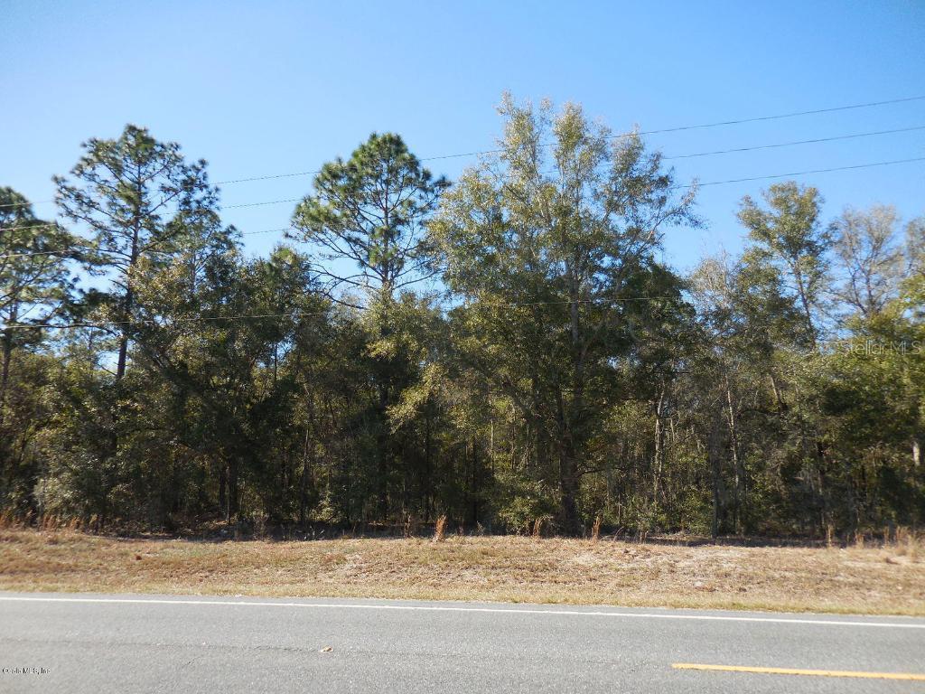 36 NE State Road 121, Williston, FL 32696