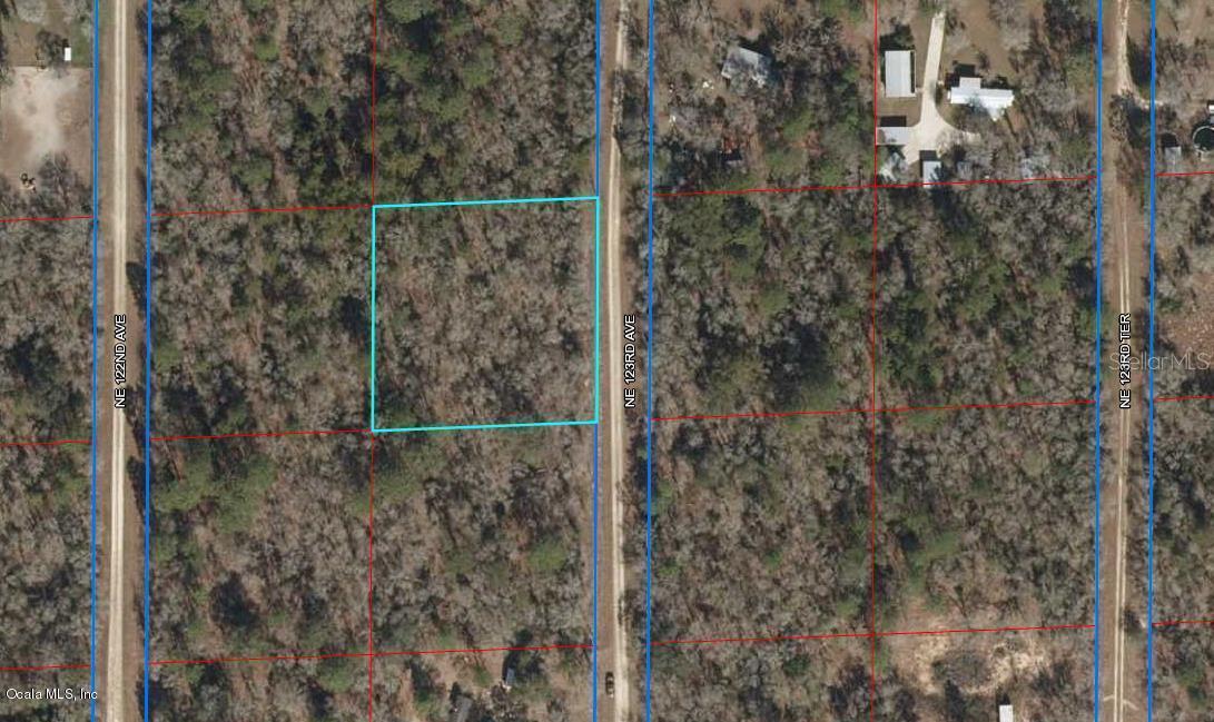 1150 NE 123rd Ave., Williston, FL 32696