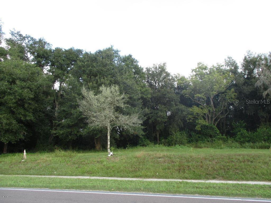 20651 NE 40th Pl., Williston, FL 32696