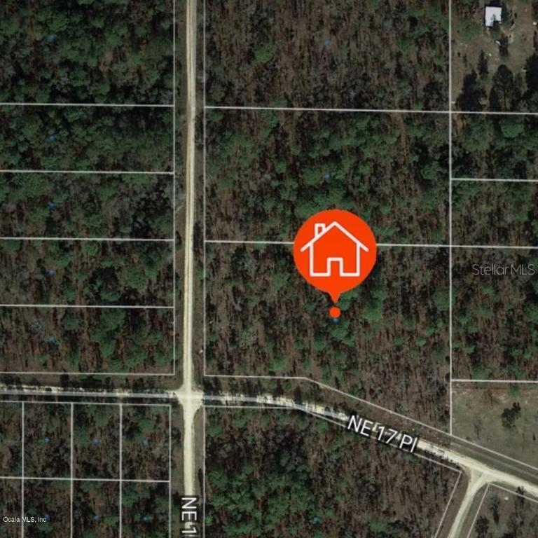 00 NE 156th Ter., Williston, FL 32696