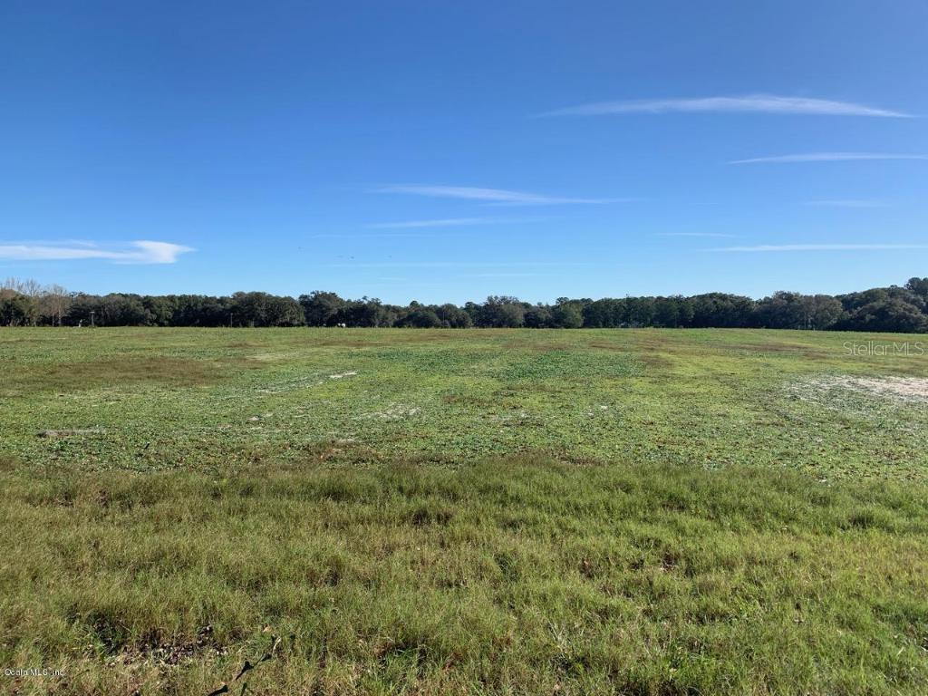 Lot 6 NE 167th Ct., Williston, FL 32696