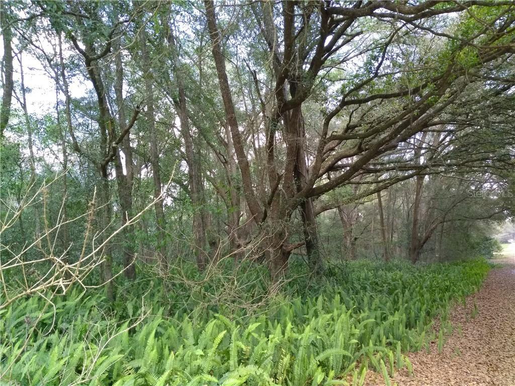 TBA SE 27 Ct., Summerfield, FL 34491