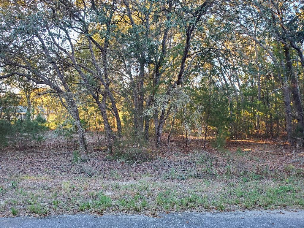 Fisher Trace Pl., Ocklawaha, FL 32179