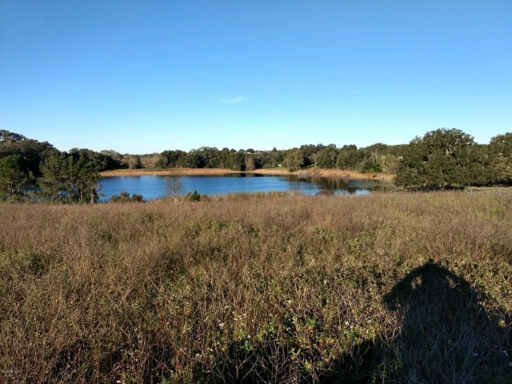 SE 168 Ct., Weirsdale, FL 32195