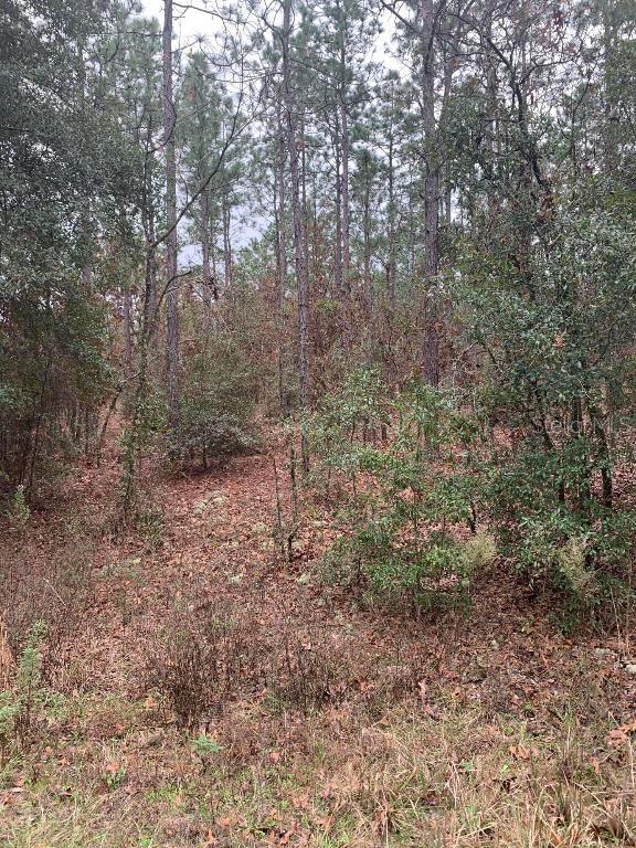 SW 131st Cir., Ocala, FL 34481