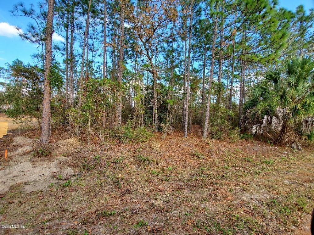 TBD Hemlock Tr., Ocala, FL 34472