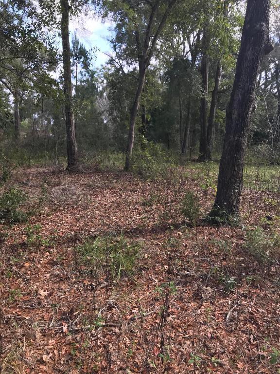 4080 SW 80th Ave., Ocala, FL 34481