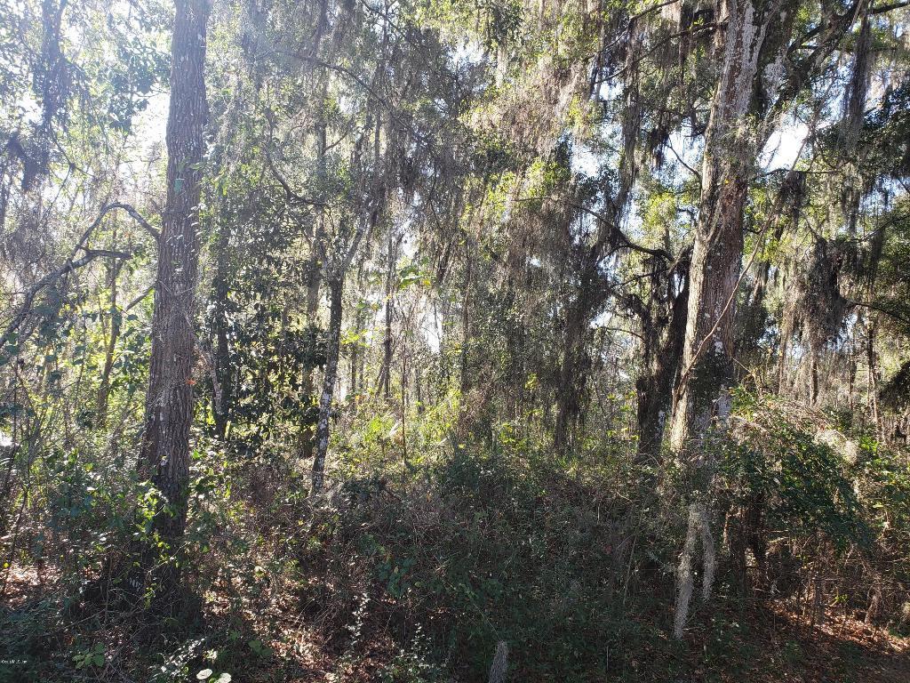 00 SW 78th St., Ocala, FL 34476