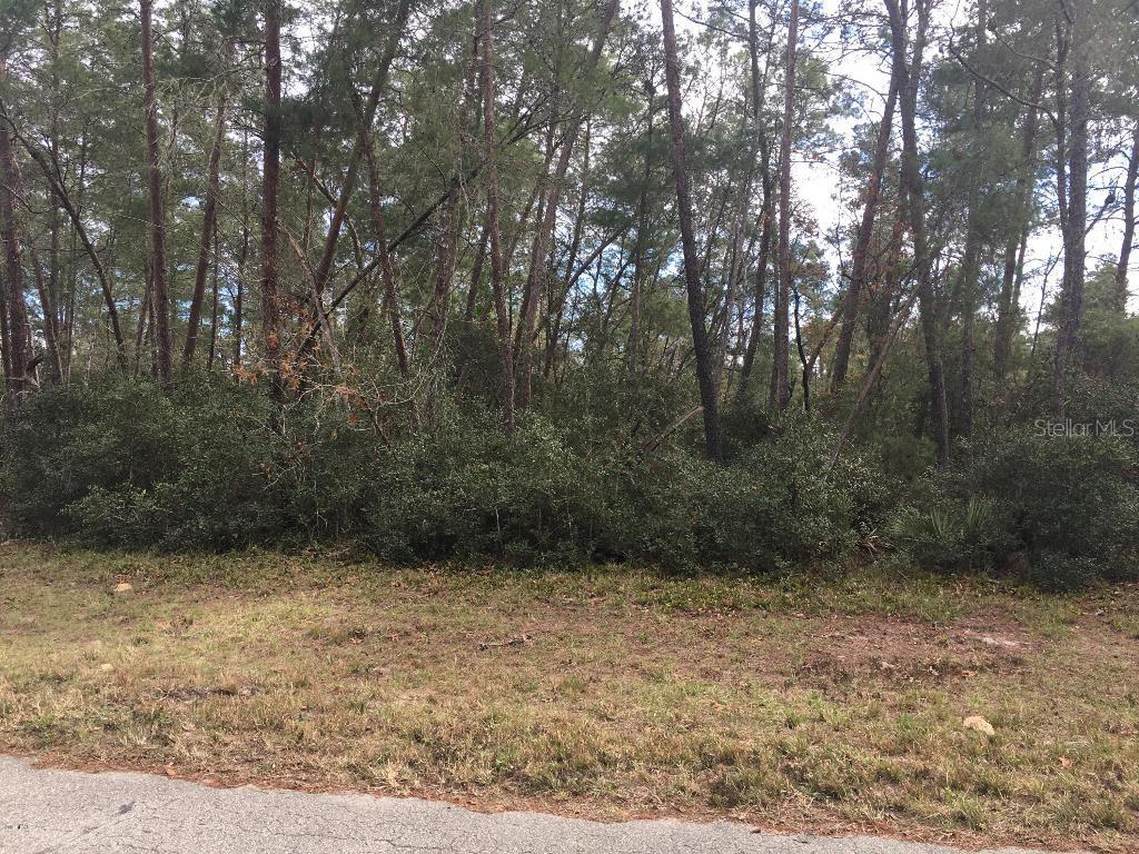 SW 173 Pl. Rd., Ocala, FL 34473
