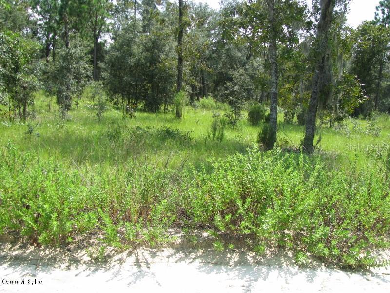 NE 15th St., Williston, FL 32696