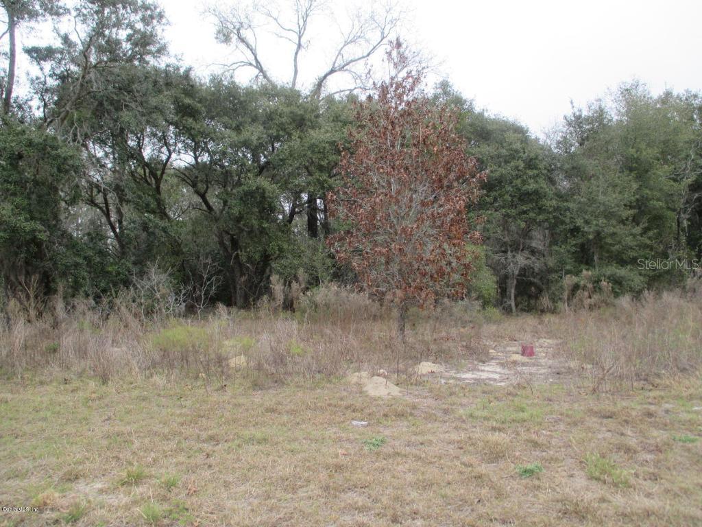 000 SW 154th Place Rd., Ocala, FL 34473