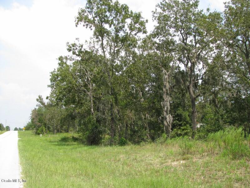 NE 136th Ave., Williston, FL 32696