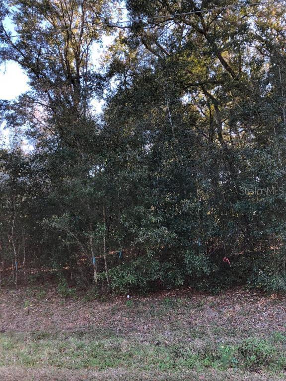 SE 164th Pl., Summerfield, FL 34491