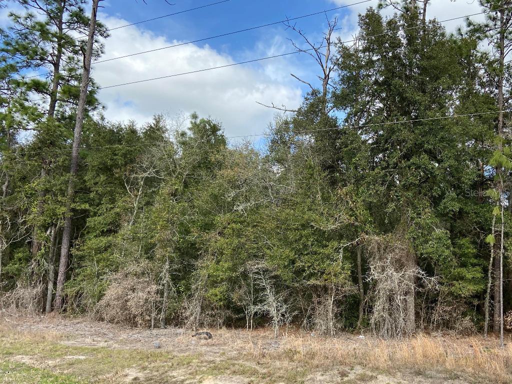 NE 27 Alt Hwy., Bronson, FL 32621