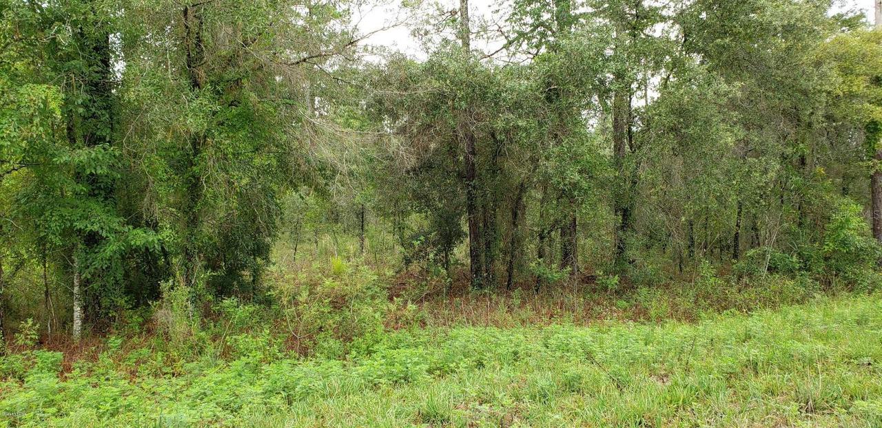 Lot 60 NE 98th Ln., Archer, FL 32618