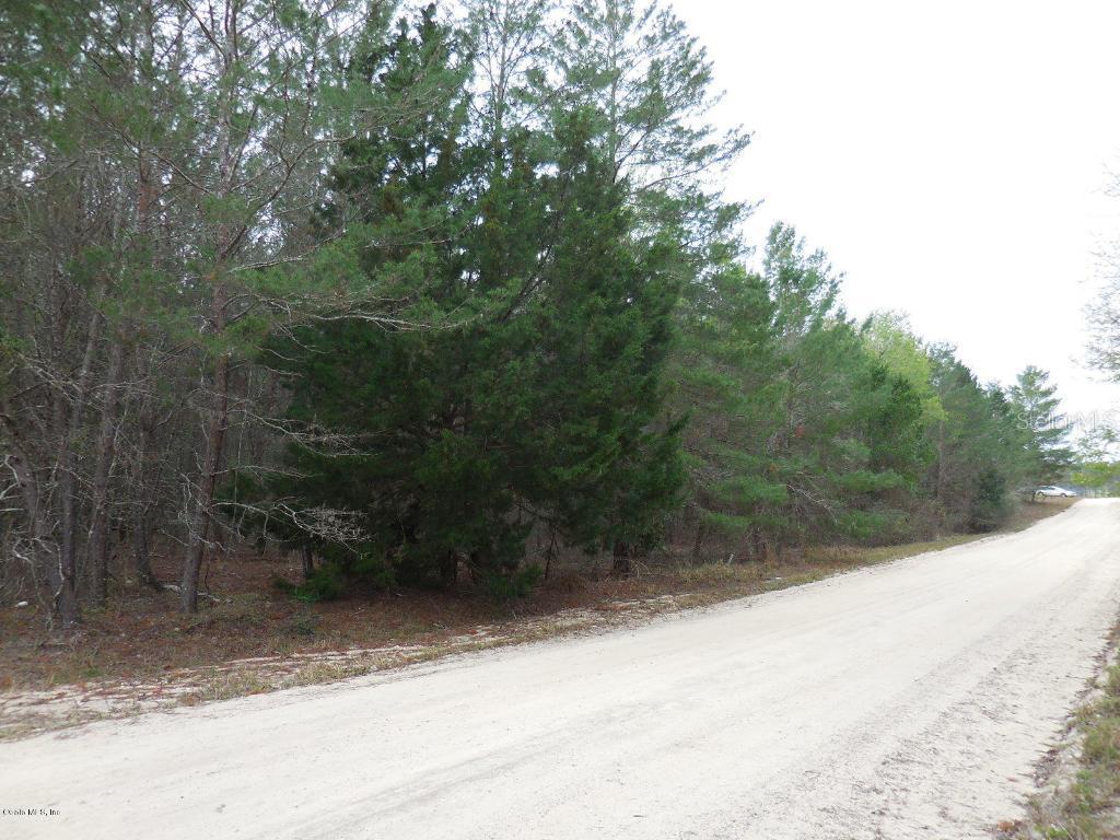 14070 SE 8th St., Williston, FL 32696
