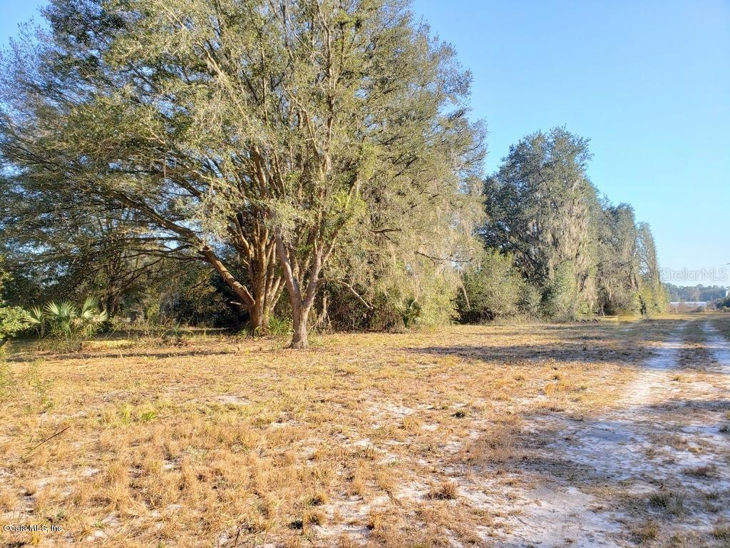 6ac NE Hwy 315, Orange Springs, FL 32182