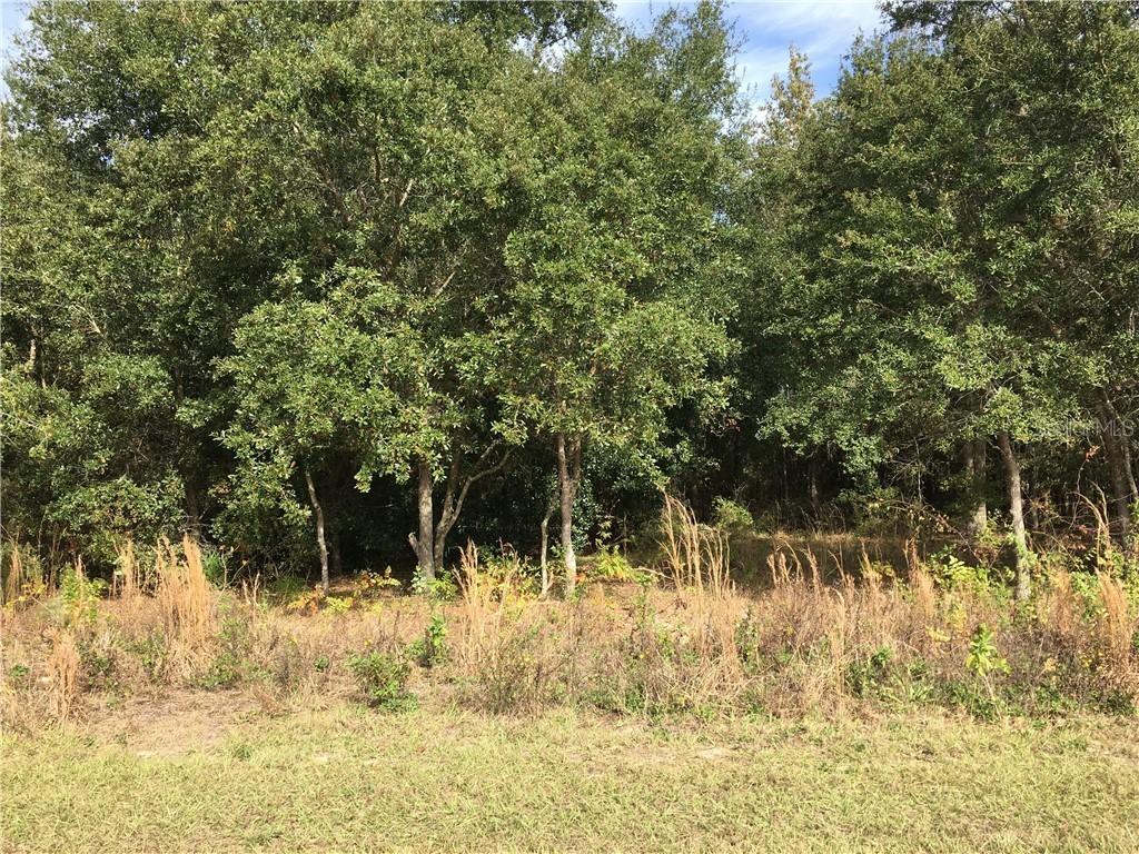 SW 64 Ter., Ocala, FL 34473