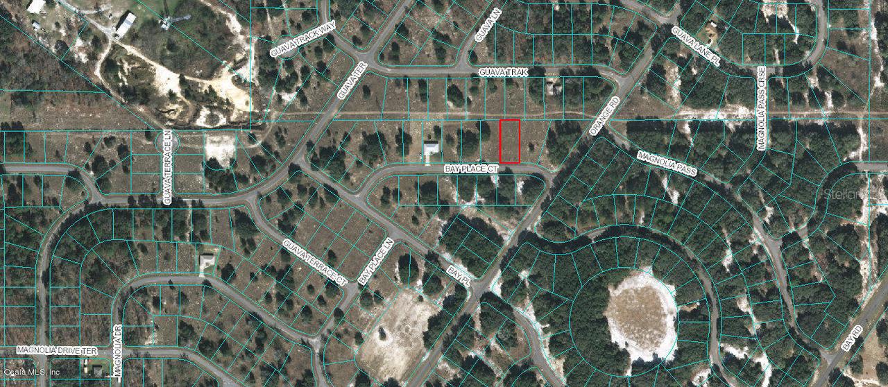 TBD Bay Place Ct., Ocklawaha, FL 32179