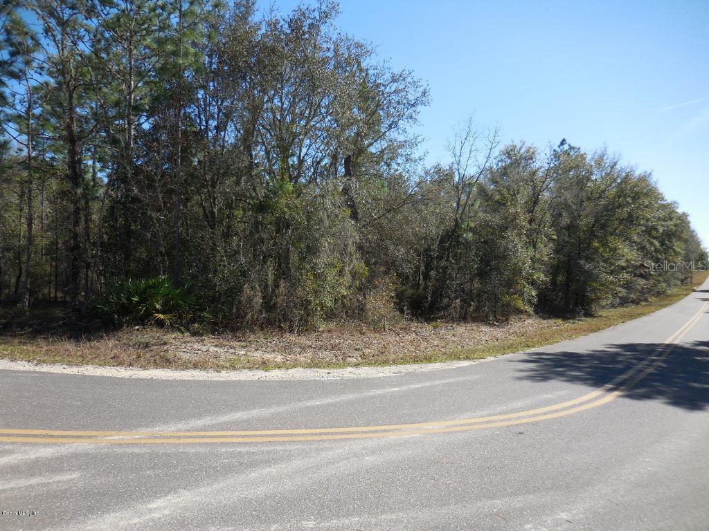 12730 NE 70th St., Williston, FL 32696