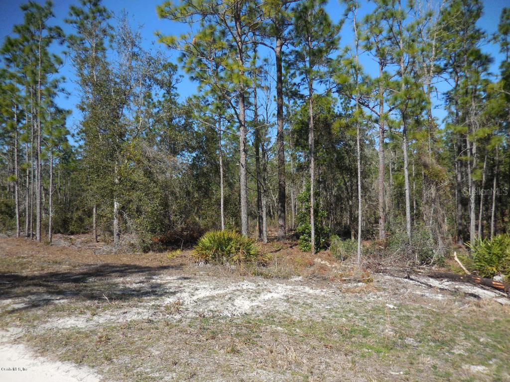 tbd NE 121st St., Archer, FL 32618