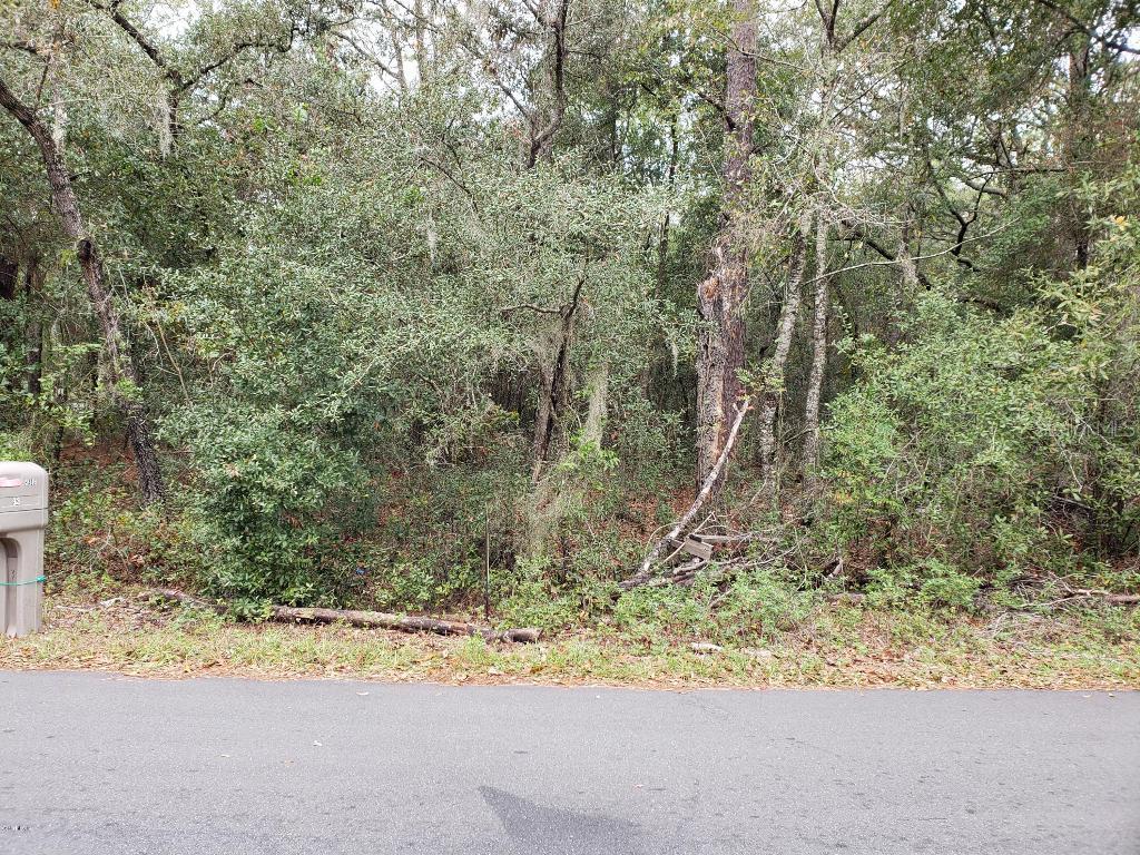 TBD Hemlock Circle Way, Ocala, FL 34472