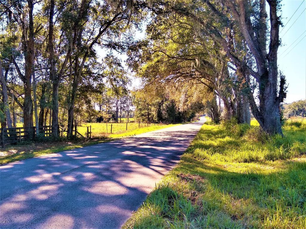 32040 NE 180th St., Williston, FL 32696