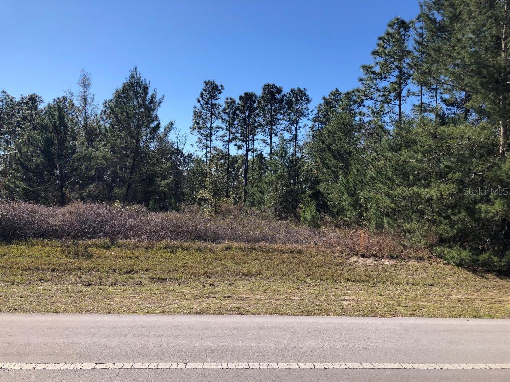 Marion Oaks Tr. #Lot 4, Ocala, FL 34473