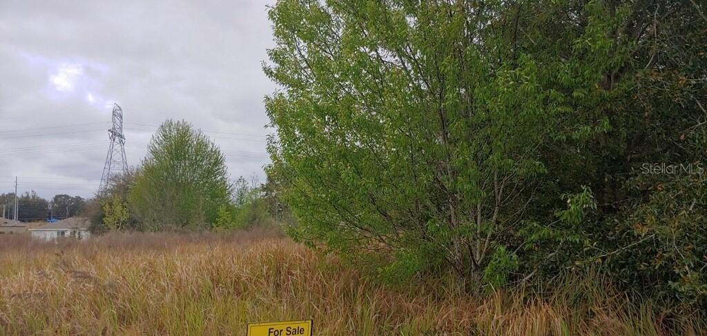 TBD Pecan Course Ct., Ocala, FL 34472