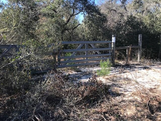 Ne 160th Ave Road, Fort Mc Coy, FL 32134